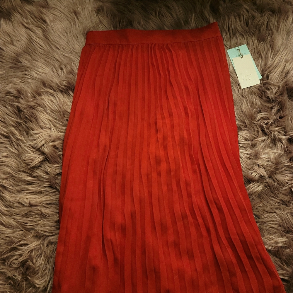 Target Pleated skirt